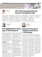 Síða 21