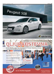 Síða 29