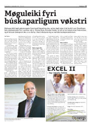 Síða 11