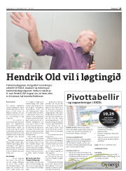 Síða 13