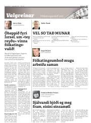 Síða 17