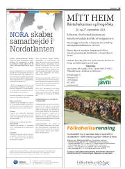 Síða 29