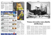 Síða 3