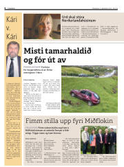 Síða 8