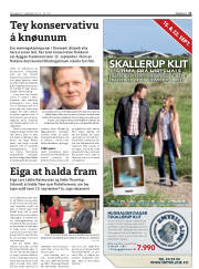 Síða 11