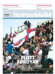 Síða 13