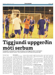 Síða 15