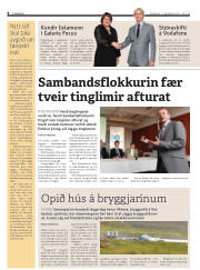 Síða 8