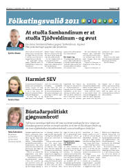 Síða 17