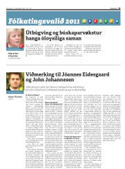 Síða 19