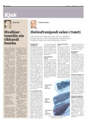 Síða 20