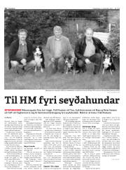 Síða 12