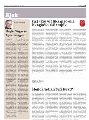 Síða 13