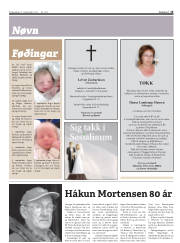 Síða 15