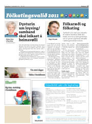 Síða 17