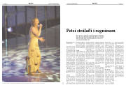 Síða 12