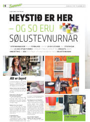 Síða 38