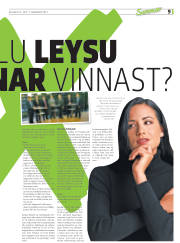 Síða 41
