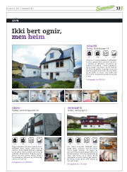 Síða 45