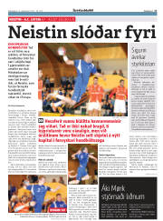 Síða 17