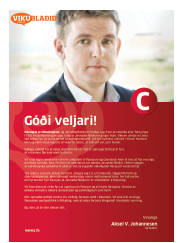 Síða 41