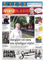 Síða 43