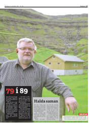 Síða 17