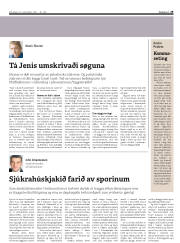 Síða 29