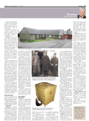 Síða 31