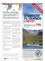 Síða 8