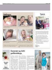 Síða 17