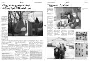 Síða 3