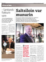 Síða 20
