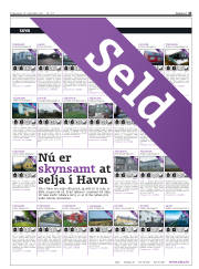 Síða 45