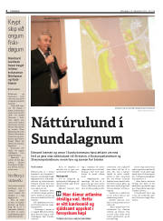 Síða 4