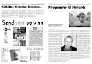 Síða 8