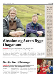 Síða 11