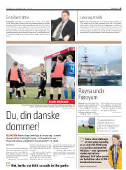 Síða 15
