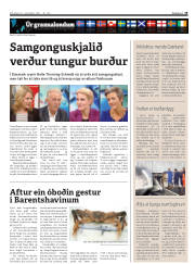 Síða 19