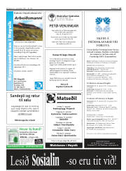 Síða 27
