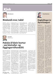 Síða 13