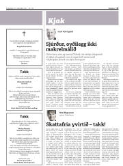 Síða 15