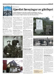 Síða 17