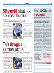 Síða 19