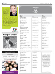 Síða 20