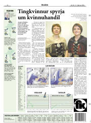 Síða 17