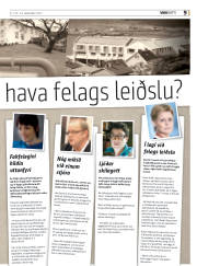 Síða 41