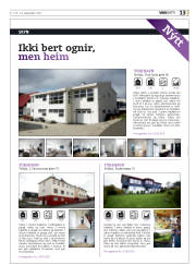 Síða 45