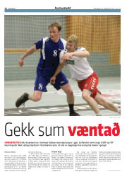 Síða 12