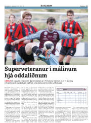 Síða 21